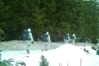 затримані на кордоні з румунією затримані на кордоні з румунією