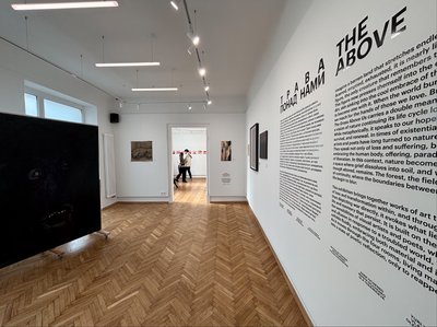 Розчинитись у "Траві понад нами": про дебютну виставку LU Gallery Розчинитись у "Траві понад нами": про дебютну виставку LU Gallery