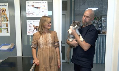 "Він добряк": кіт з вірусом імунодефіциту шукає родину в Черкасах "Він добряк": кіт з вірусом імунодефіциту шукає родину в Черкасах