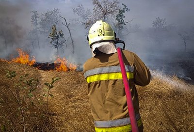 Рятувальник ДСНС гасить пожежу сухостою Рятувальник ДСНС гасить пожежу сухостою