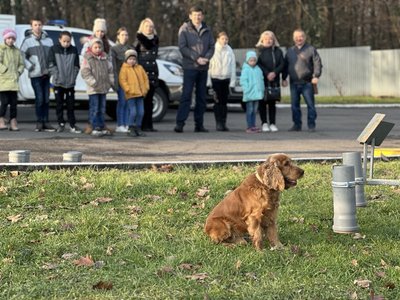 Вихованці релокованого з Марганця дитбудинку сімейного типу відвідали Кінологічний центр в Ужгороді