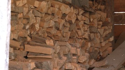 дрова, Соколівка, закон, штраф, деревина дрова, Соколівка, закон, штраф, деревина