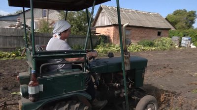 Картопля на Чернігівщині: історія старости з Коропщини, яка сама копає картоплю трактором Картопля на Чернігівщині: історія старости з Коропщини, яка сама копає картоплю трактором