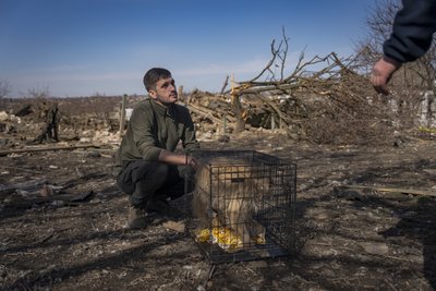 "Люди виїжджають, тому годувати нікому". Як волонтери з Дніпра евакуюють тварин за 10 км від фронту "Люди виїжджають, тому годувати нікому". Як волонтери з Дніпра евакуюють тварин за 10 км від фронту