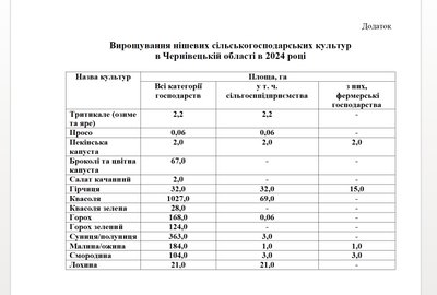 Тритикале та лохина: які нішеві культури вирощують на Буковині Тритикале та лохина: які нішеві культури вирощують на Буковині