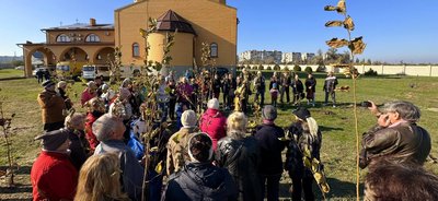 Сад Перемоги, фундук, догляд за деревами Сад Перемоги, фундук, догляд за деревами