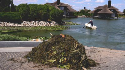 Зелена плівка й водорості: на території яхт-клубу у Дніпрі зацвіла річка. Як борються та чи є загроза для людей і фауни Зелена плівка й водорості: на території яхт-клубу у Дніпрі зацвіла річка. Як борються та чи є загроза для людей і фауни