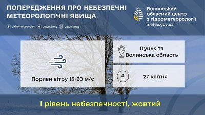 На Волині через сильний вітер — повалені дерева на дорогах та аварійні відключення світла На Волині через сильний вітер — повалені дерева на дорогах та аварійні відключення світла