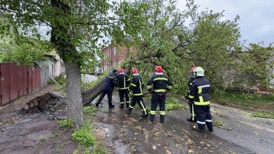 Буревій у Кропивницькому: дерева падають на дороги, тротуари та будинки Буревій у Кропивницькому: дерева падають на дороги, тротуари та будинки