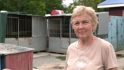 «Вони перенесли дуже тяжко переїзд»: 12 собак з Херсонщини евакуювали у Рівне «Вони перенесли дуже тяжко переїзд»: 12 собак з Херсонщини евакуювали у Рівне