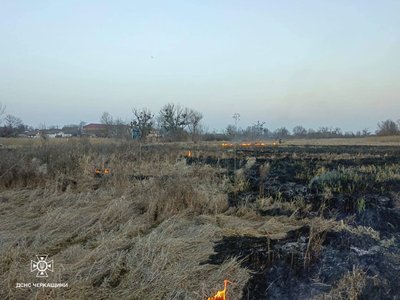 На Черкащині через необережність вигоріло понад два гектари сухостою На Черкащині через необережність вигоріло понад два гектари сухостою