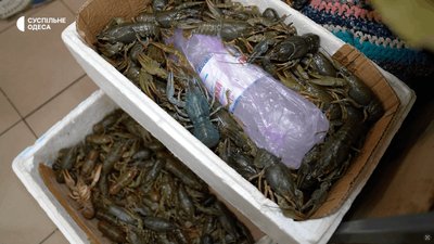 Раки на Привозі