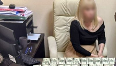 За даними слідства, жінці загрожує до дев'яти років ув'язнення За даними слідства, жінці загрожує до дев'яти років ув'язнення