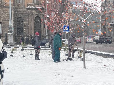 16 днів проти насильства. У Львові відбулася акція "Не ламай калину" 16 днів проти насильства. У Львові відбулася акція "Не ламай калину"