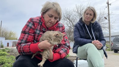 Безплатна стерилізація: у Новій Одесі прооперували безпритульних та безпородних тварин Безплатна стерилізація: у Новій Одесі прооперували безпритульних та безпородних тварин