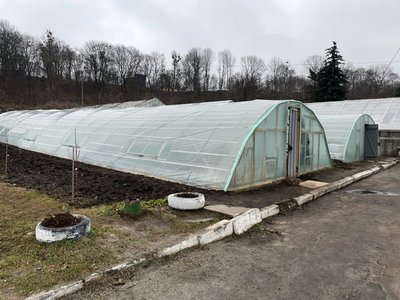 "14 видів нових рослин": як у Полтаві готуються до весняної висадки квітів "14 видів нових рослин": як у Полтаві готуються до весняної висадки квітів