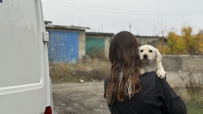 Рятувальниця UAnimals Ксенія тримає цуценя Донецька область 9 листопада 2025 рік Рятувальниця UAnimals Ксенія тримає цуценя Донецька область 9 листопада 2025 рік