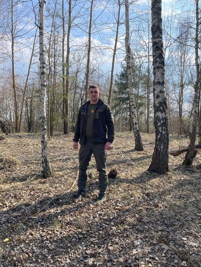Збір березового соку на Житомирщині: що дозволено і за що штрафують Збір березового соку на Житомирщині: що дозволено і за що штрафують
