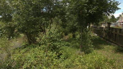 Лімниця, Топільське, Франківщина Лімниця, Топільське, Франківщина