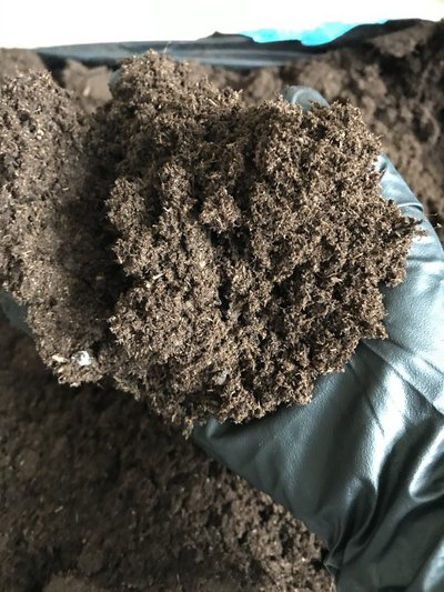 Що можна сіяти та садити в кінці квітня — поради для початківців Що можна сіяти та садити в кінці квітня — поради для початківців