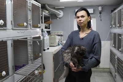"Вони всі вже голодували": 15 котів з Краматорська евакуювали до притулку на Дніпропетровщині "Вони всі вже голодували": 15 котів з Краматорська евакуювали до притулку на Дніпропетровщині