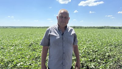 Загибель бджіл після обробки полів на Кіровоградщині: як пасічникам та аграріям цього уникати Загибель бджіл після обробки полів на Кіровоградщині: як пасічникам та аграріям цього уникати