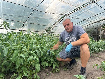 Як отримати хороший врожай помідорів: лайфхаки від аграрія Дніпропетровщини Як отримати хороший врожай помідорів: лайфхаки від аграрія Дніпропетровщини