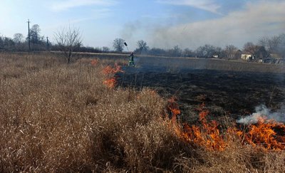 За добу на Черкащині зафіксували 35 пожеж сухостою