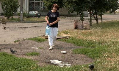 Теплові удари та зневоднення: як тварини страждають у спеку та як можна допомогти Теплові удари та зневоднення: як тварини страждають у спеку та як можна допомогти