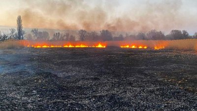 На Черкащині сталася 21 пожежа, з них 15 — в екосистемах На Черкащині сталася 21 пожежа, з них 15 — в екосистемах