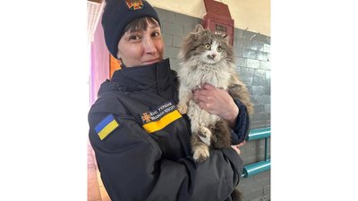 Присутня при зміні караулів та підтримує: в пожежній частині на Житомирщині служить кішка Мася Присутня при зміні караулів та підтримує: в пожежній частині на Житомирщині служить кішка Мася