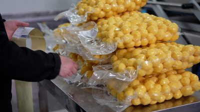 На Житомирщині підприємство з Херсонщини робить чищену вакуумовану картоплю — щомісяця переробляють 200 тонн На Житомирщині підприємство з Херсонщини робить чищену вакуумовану картоплю — щомісяця переробляють 200 тонн