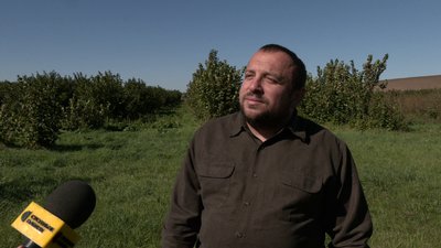 Фундук на Рівненщині: садівники освоюють нову нішу агробізнесу Фундук на Рівненщині: садівники освоюють нову нішу агробізнесу