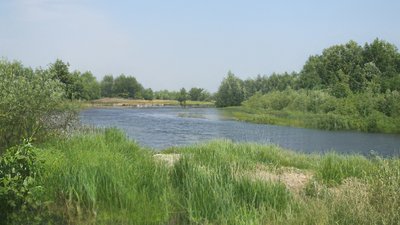 Назви сіл Чернігівщини: історія назви сіл Седнівської громади Назви сіл Чернігівщини: історія назви сіл Седнівської громади
