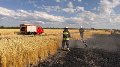 На Кіровоградщині горіло поле пшениці: рятувальники ліквідували пожежу На Кіровоградщині горіло поле пшениці: рятувальники ліквідували пожежу