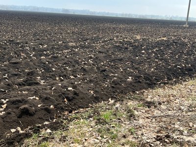 На Вінниччині дорожчає сільгоспземля: наскільки й чи є попит На Вінниччині дорожчає сільгоспземля: наскільки й чи є попит