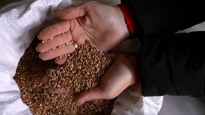 На Кіровоградщині дорожчає гречка: які причини та прогнози