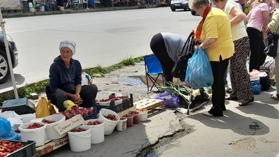 суниці купити суниці купити