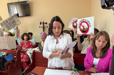 "Ні вітрякам у горах!": у суді заслухали дебати сторін щодо будівництва вітрових електростанцій на полонині Руні "Ні вітрякам у горах!": у суді заслухали дебати сторін щодо будівництва вітрових електростанцій на полонині Руні