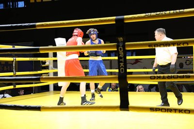 У Хмельницькому стартував чемпіонат України з боксу серед молоді та жінок У Хмельницькому стартував чемпіонат України з боксу серед молоді та жінок