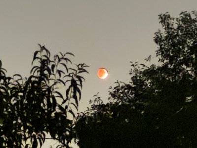 "Кривавий" Місяць у Дніпрі: місячне затемнення очима містян