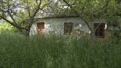 Одна на все село: як живе єдина мешканка Щурів на Вінниччині Одна на все село: як живе єдина мешканка Щурів на Вінниччині