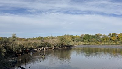 Підприємства, які вирощують прісноводну рибу, можуть отримати компенсацію від держави: які умови й терміни виплат Підприємства, які вирощують прісноводну рибу, можуть отримати компенсацію від держави: які умови й терміни виплат