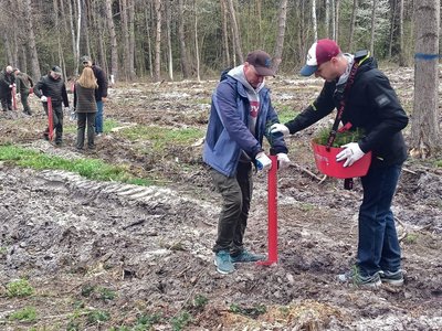 На Волині створюють "Ліс пам’яті" на честь загиблого воїна-лісівника На Волині створюють "Ліс пам’яті" на честь загиблого воїна-лісівника