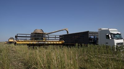 Екоутеплювач, канати, олія й медикаменти: на Чернігівщині збирають урожай промислових конопель Екоутеплювач, канати, олія й медикаменти: на Чернігівщині збирають урожай промислових конопель