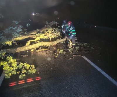 Повалені дерева та підтоплені дворогосподарства: наслідки негоди на Закарпатті 17 липня Повалені дерева та підтоплені дворогосподарства: наслідки негоди на Закарпатті 17 липня