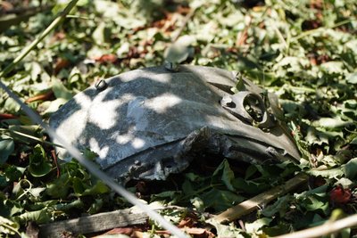 Б'ють КАБами за «графіком». Як і де жителі Дубовиків на Дніпропетровщині ховаються від атак армії РФ