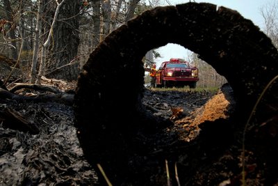 У Нью-Джерсі спалахнула лісова пожежа, яка може стати найбільшою за 20 років У Нью-Джерсі спалахнула лісова пожежа, яка може стати найбільшою за 20 років