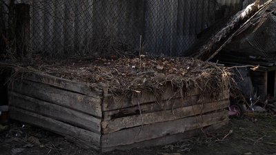 Пожежі на Житомирщині: за 10 днів березня вигоріло 650 гектарів Пожежі на Житомирщині: за 10 днів березня вигоріло 650 гектарів