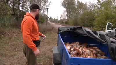Без електрики, зв'язку та під обстрілами: як живуть люди села Архипівка на Чернігівщині, що за 2 км від кордону з РФ Без електрики, зв'язку та під обстрілами: як живуть люди села Архипівка на Чернігівщині, що за 2 км від кордону з РФ